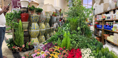 Fruits and vegetables wholesale market - Umm Salal Muhammed -