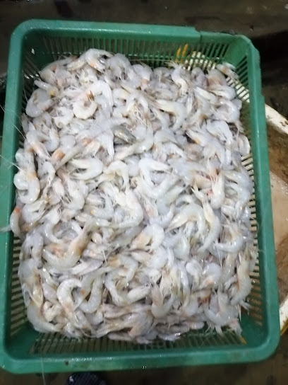 Northern Fish Trading - Qatar|Doha|Barwa tower 2 (2nd floor)