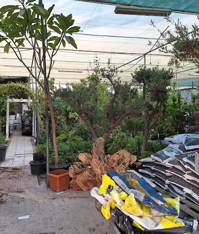 Bristol Nursery - Doha - +974 7026 0081