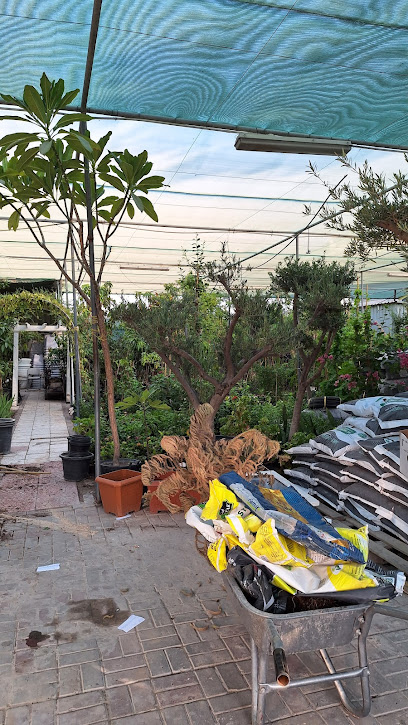 Bristol Nursery - Qatar|Doha|P.O.Box 11397