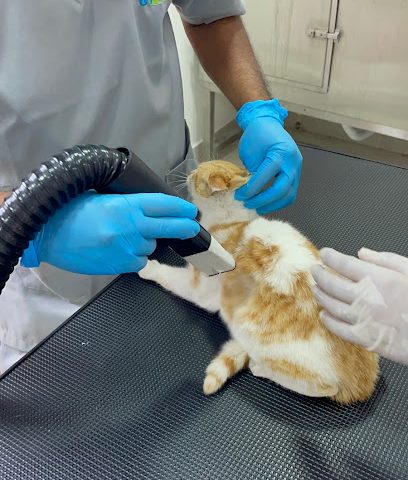 Sanam veterinary clinic - Umm Salal Muhammed - +974 4460 6069
