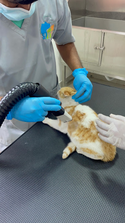 Sanam veterinary clinic - Qatar|Doha|7G3F+8H6