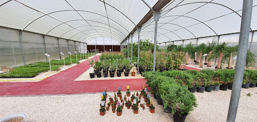 مشتل المزرعة العالمية - Doha - +974 3338 0011