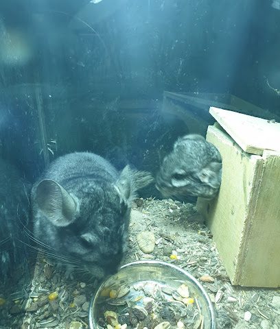Al Ibrga Pet Store - Doha - +974 5030 5577