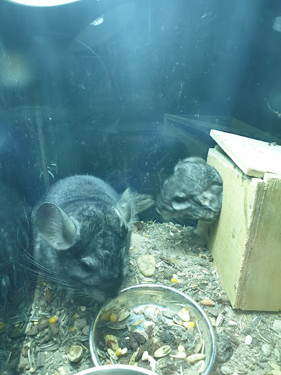 Al Ibrga Pet Store - Qatar|Al Wakrah