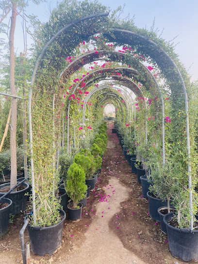 Lucky Flowers Plants Nursery - Qatar|Al Wukair|Ezdan Oasis