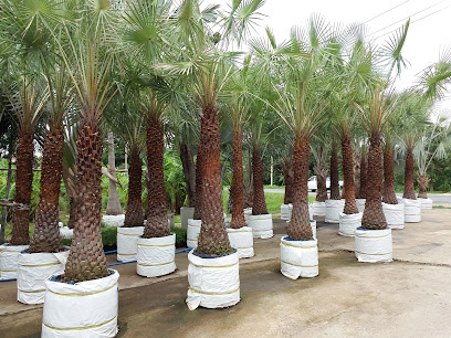Golden Nails Iandscape & Irrigation - Doha - +974 4488 9950