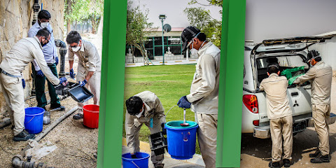 Qatar Pest Control Company - Doha - +974 5551 7254