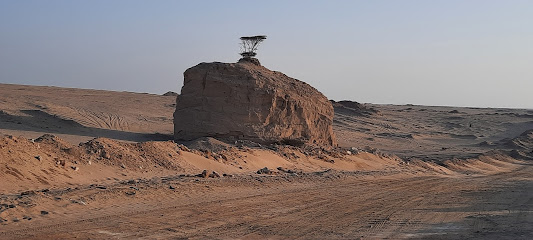 Pics 01 - Doha - +974 5555 1981
