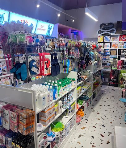 Cat planet - Doha - +974 5597 4585