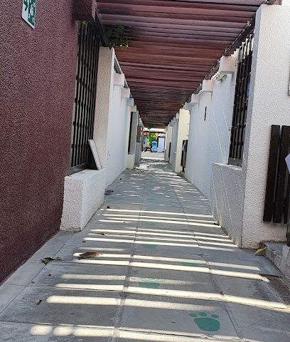 DESS Gate - Doha - +974 6678 8066