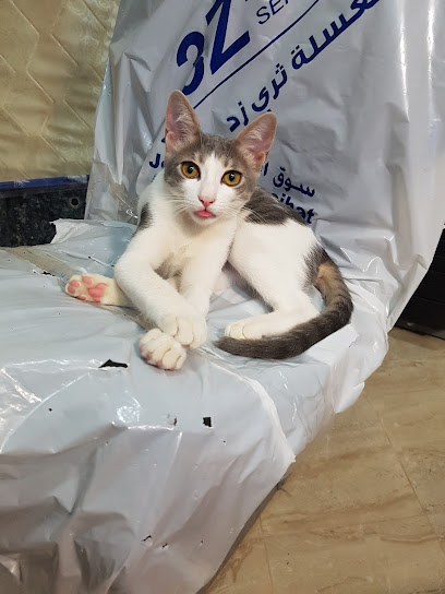 Royal Veterinary Center - Qatar|Doha|Al Zaghwa St|Building 28