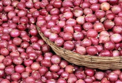 Reem Al Doha Export & Import - Doha - +974 4435 5500