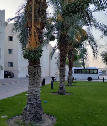 Ibn Ajayan Real Estate Projects - Doha - +974 4499 9000