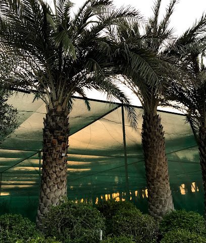 Al Naimi Landscaping - Doha - +974 4416 1181