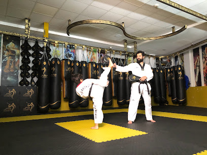 Alpha MMA Sports Center (ASCQA) - Doha - +974 6644 5581