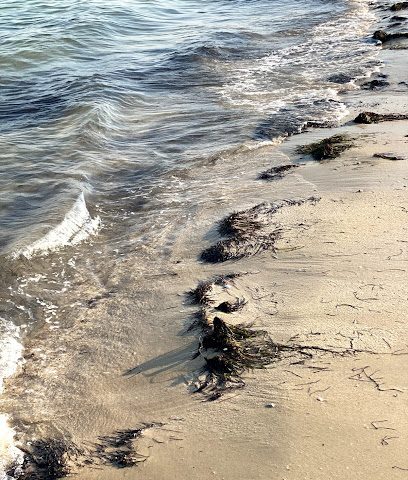 Simaisma Ladies Beach - Umm Şalāl 'Alī -