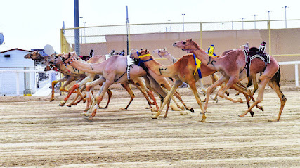 Hejen racing اللجنة المنظمة لسباق الهجن المقر الرئيسي - Mesaieed - +974 4016 3900