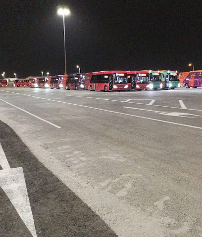 P54 Al Bayt Stadium - Doha -