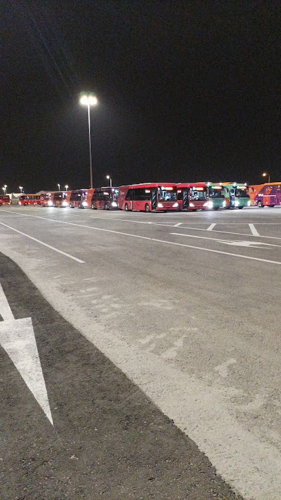 P54 Al Bayt Stadium - Qatar|Al Khor|MF26+87Q