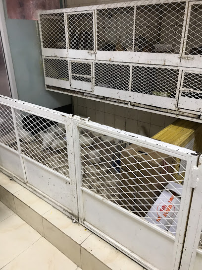 Al mahramy poultry - Qatar|Al Wakrah|Unnamed Road