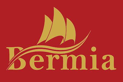 Bermia Oil-Gas-Energy Solutions - Doha - +974 3004 0331