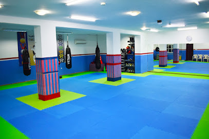 Strongman Martial Arts - Doha - +974 5000 1757