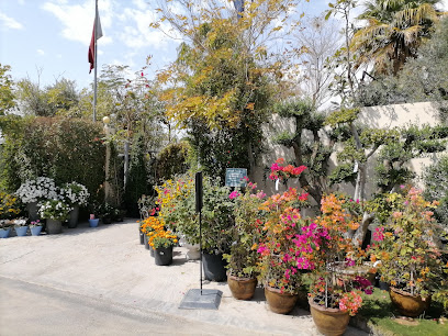 Plaza Hollandi Garden Center - Doha - +974 4450 2240