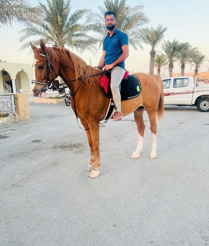 مزرعة الشيخ جاسم بن ثاني ال ثاني - Doha -
