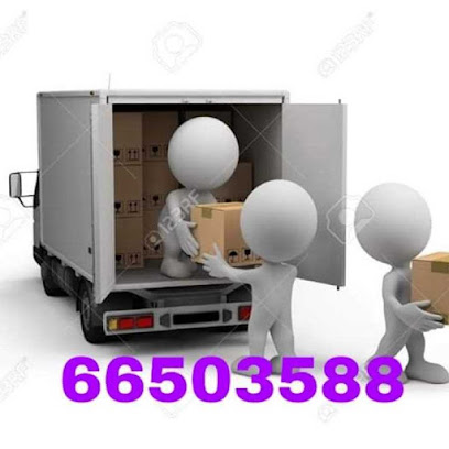 QSF Movers and Packers Doha - Doha - +974 6650 3588