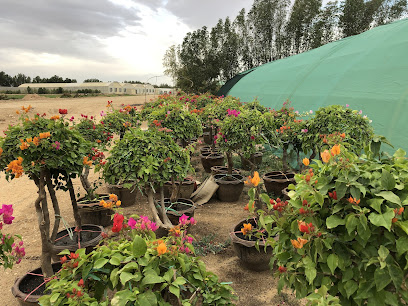 Floranza Nursery - Doha -