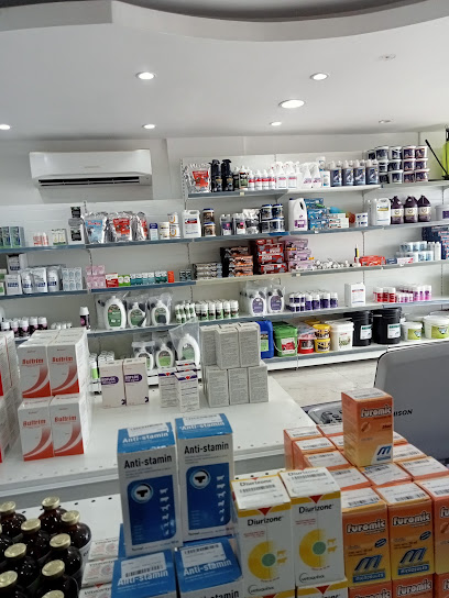 The Vet Experts - Qatar|Doha|Building 264