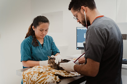 Nova Vets Veterinary Clinic & Hotel - Umm Salal Muhammed - +974 4411 5555