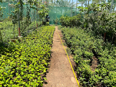 Al naimi agriculture maintenance service w l l - Doha - +974 6613 0370