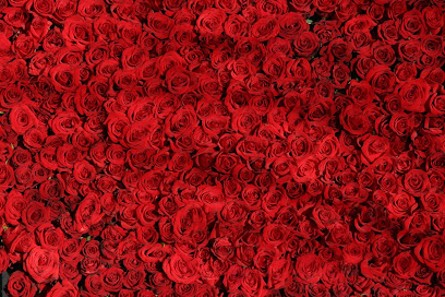 Tuluflorals-Tawar Mall - الدوحة، - +974 4001 1175