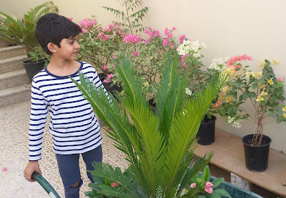 Daffodils Online Plant Nursery Qatar - Doha - +974 3015 0453