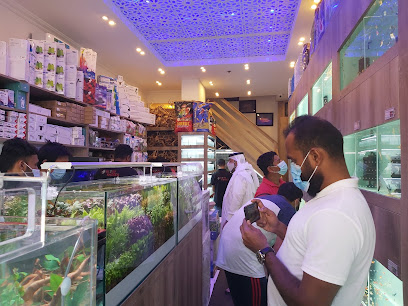 Fiora Aquatic - Doha - +974 3001 2420