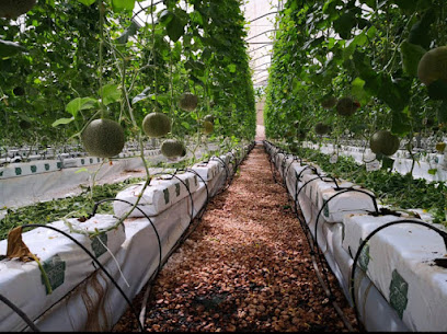 Agrico Agricultural Development - Doha - +974 4431 7759