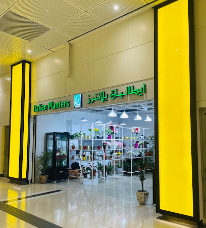 Italian Planters - Doha - +974 7771 6578