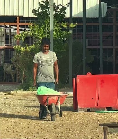 Rayyan Sheep Farm - Doha -