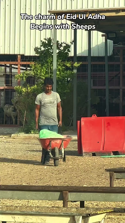 Rayyan Sheep Farm - Qatar|Ar-Rayyan|Street 66|797X+87M