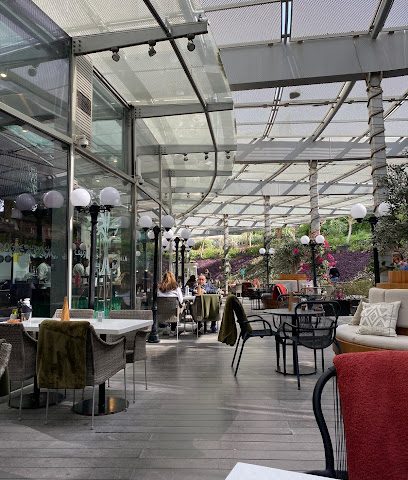 Twisted Olive - Doha - +974 4425 2727
