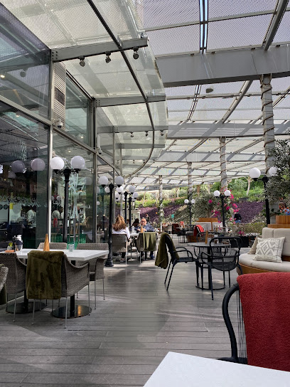 Twisted Olive - Doha