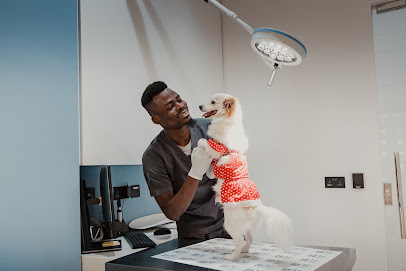 Four Pets Veterinary Hospital - Umm Salal Muhammed - +974 6675 5500
