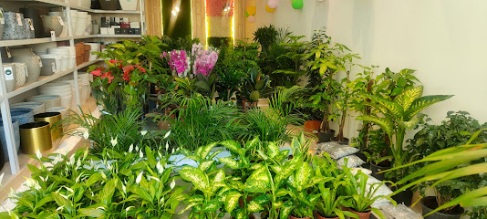 Mashtal New Baraka - Doha - +974 7006 5050