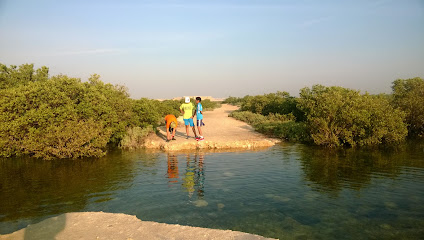 Mangroves - Doha - +974 3349 1751