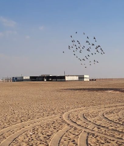 Farm Shahaniya - Umm Şalāl 'Alī -