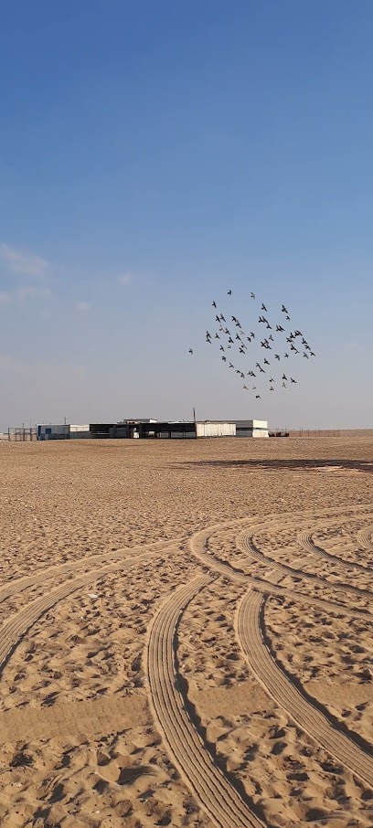 Farm Shahaniya - Qatar|Wadi Al Majhoola|74HM+8H