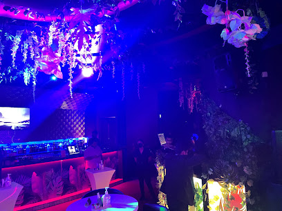 The Vogue Club - Doha - +974 3111 9292