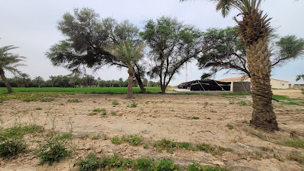 AlMardiah Farm - Doha - +974 5103 3222